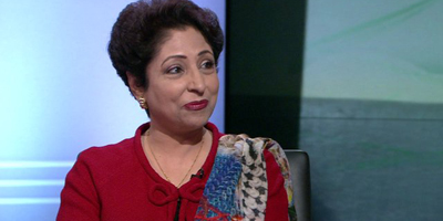 Ambassador Lodhi calls for stepping up efforts to protect journalists